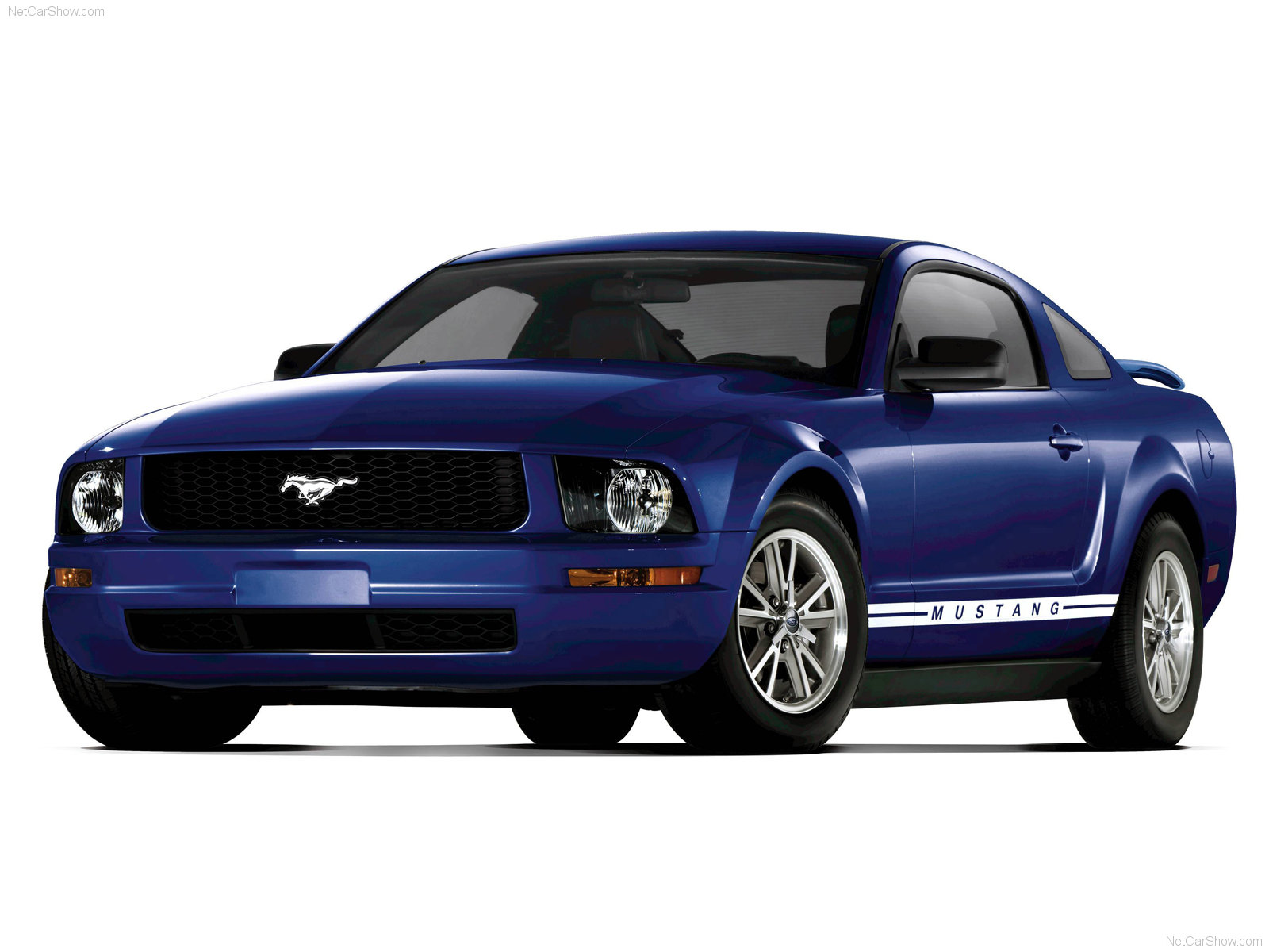 Mmm. mustang.